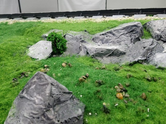 Действующий макет одиночного стрелочного перевода